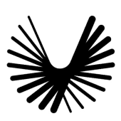Boom Supersonic company logo